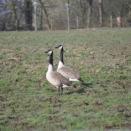 Gastenkamers Beuk & Bos 3*